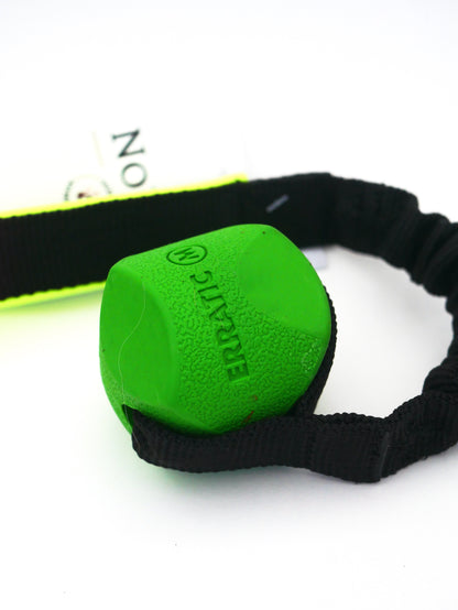 Chuckit! Erratic Ball With Bungee
